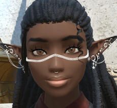 Custom Sculpt